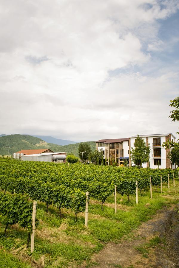 Shaloshvili's Cellar Hotel Shilda Esterno foto