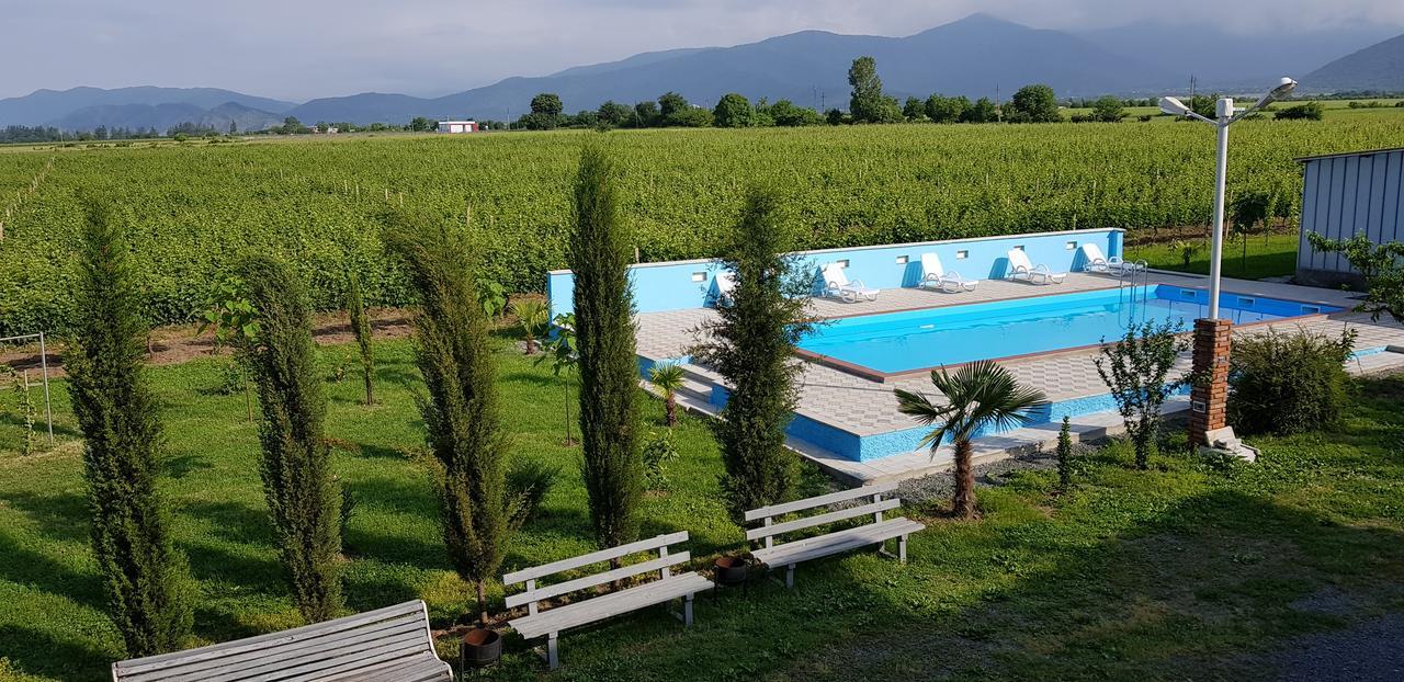 Shaloshvili's Cellar Hotel Shilda Esterno foto